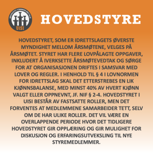 UiSI Søker Nytt Hovedstyre!