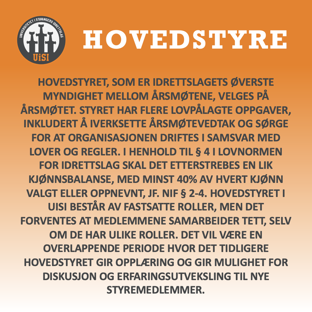 UiSI Søker Nytt Hovedstyre!